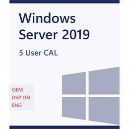 MS OEM Windows Server CAL 2019 English 1pk DSP OEI 5 Clt User CAL